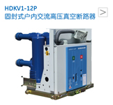 HDKV1-12P 固封式户内交流高压真空断路器